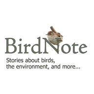 BirdNote